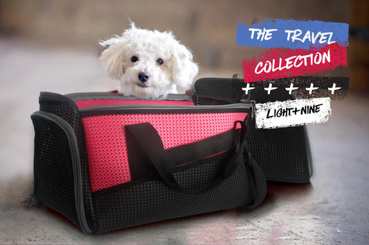 Light + Nine Pet Duffel Large Pink Light + Nine