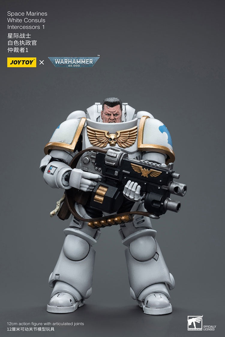 Joytoy Warhammer 40K Space Marines White Consuls Intercessors 1 Jt6847 Warhammer