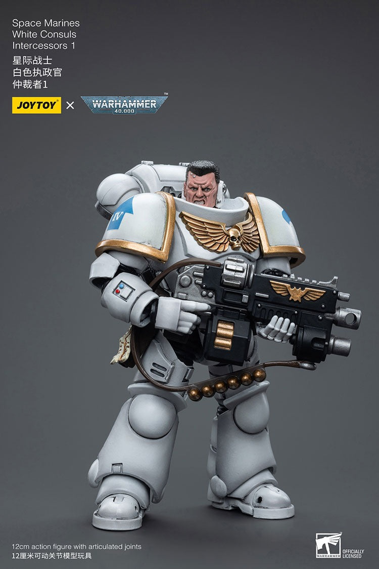 Joytoy Warhammer 40K Space Marines White Consuls Intercessors 1 Jt6847 Warhammer