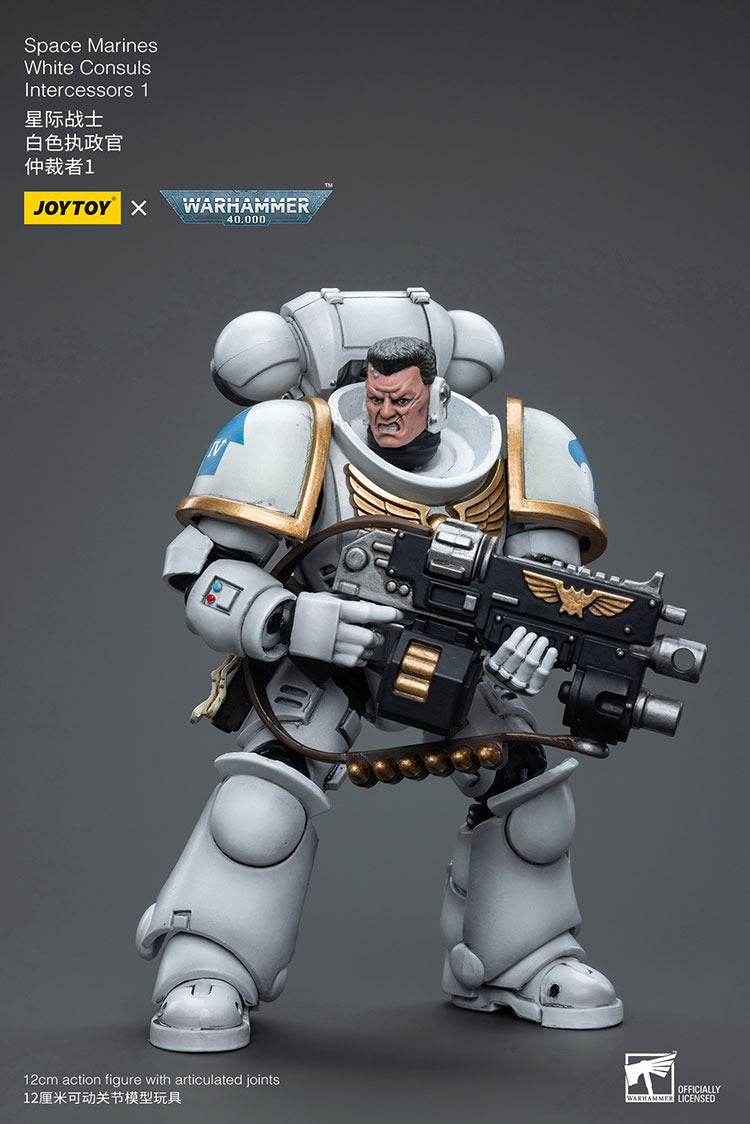 Joytoy Warhammer 40K Space Marines White Consuls Intercessors 1 Jt6847 Warhammer
