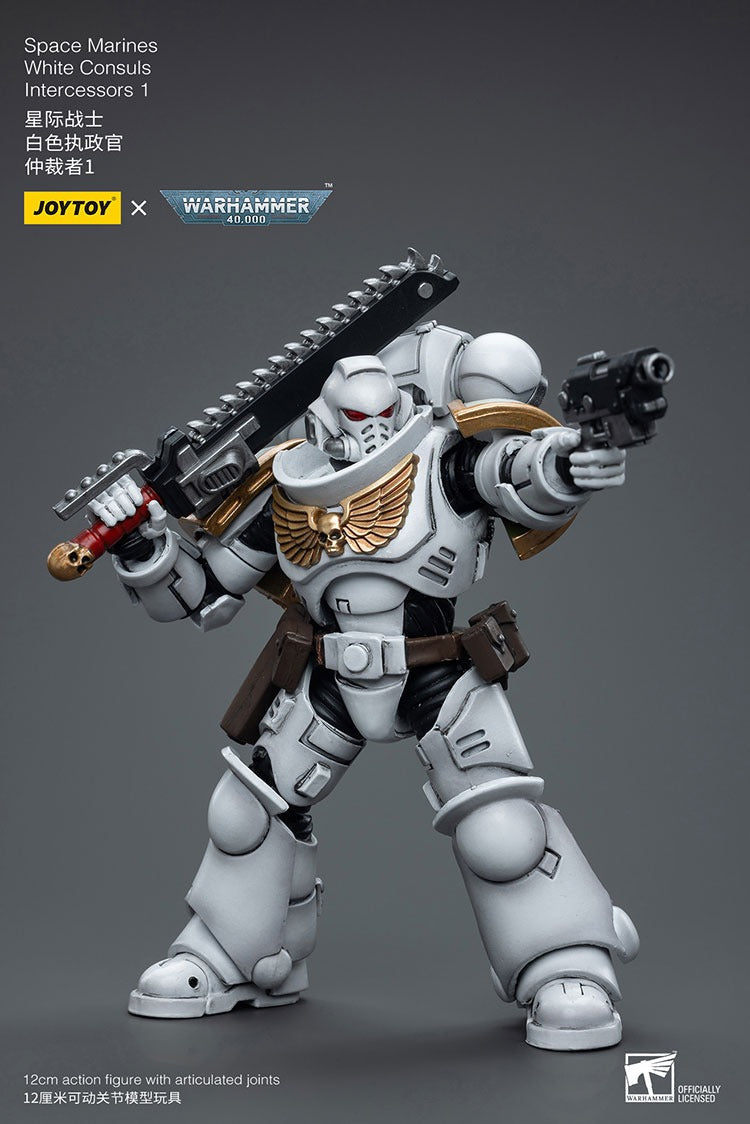 Joytoy Warhammer 40K Space Marines White Consuls Intercessors 1 Jt6847 Warhammer