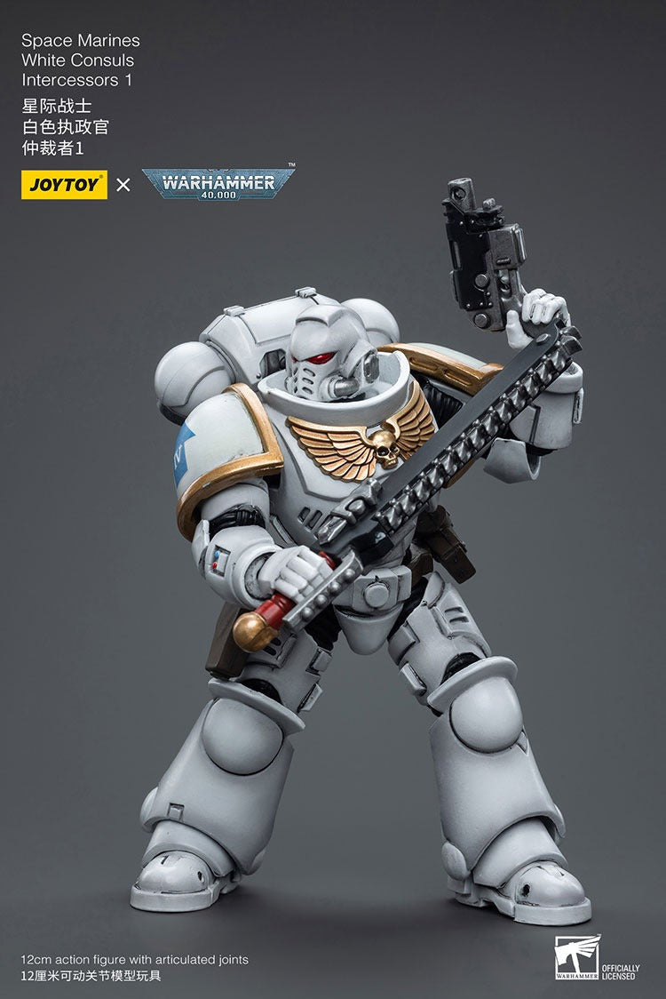 Joytoy Warhammer 40K Space Marines White Consuls Intercessors 1 Jt6847 Warhammer