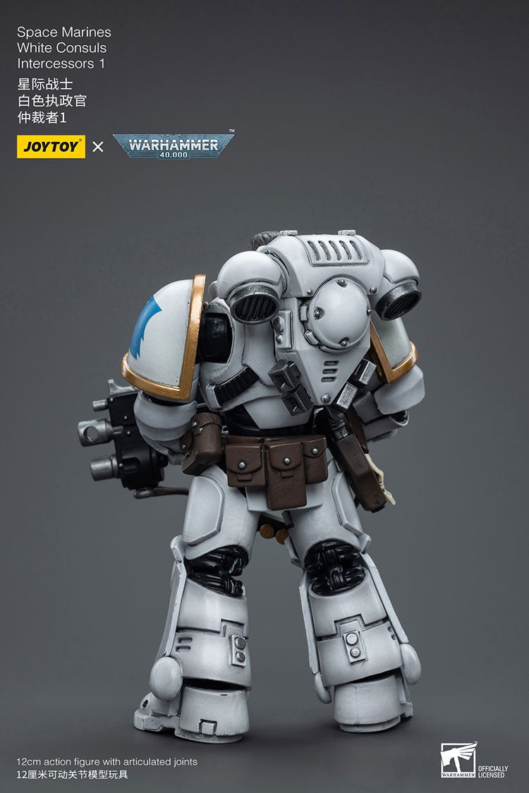 Joytoy Warhammer 40K Space Marines White Consuls Intercessors 1 Jt6847 Warhammer