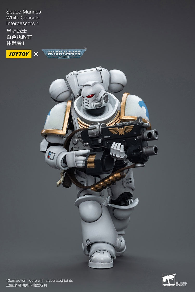 Joytoy Warhammer 40K Space Marines White Consuls Intercessors 1 Jt6847 Warhammer